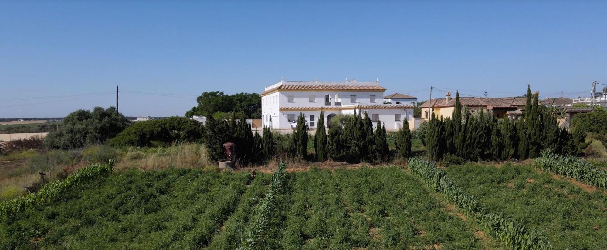 Alojamiento Rural Al'Mare Conil De La Frontera Luaran gambar